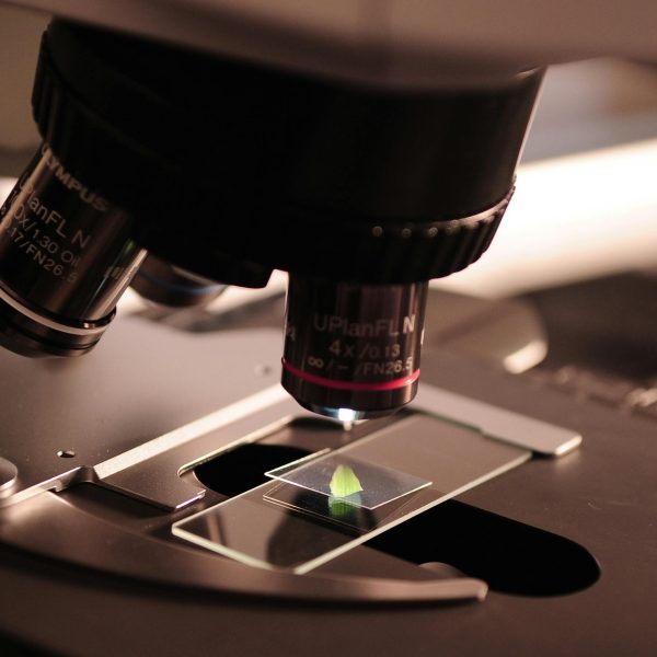 BioRepair